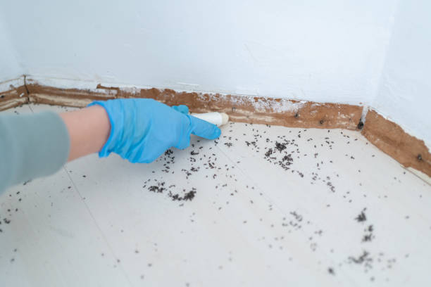 Best Residential Pest Control  in Lexington Park, MD